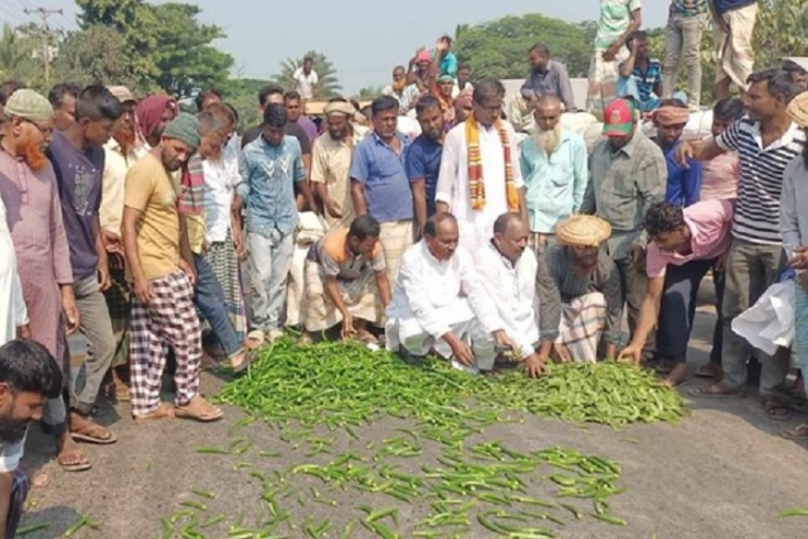 হরতাল-অবরোধের প্রতিবাদ করলো মহাসড়কে সবজি ঢেলে 