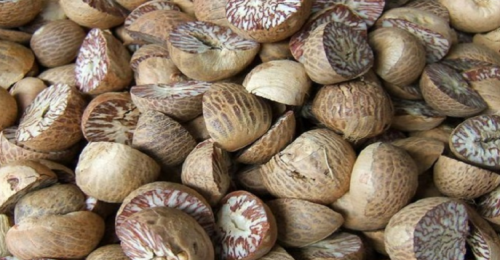 সুপারি খেলে কী হয়? 
