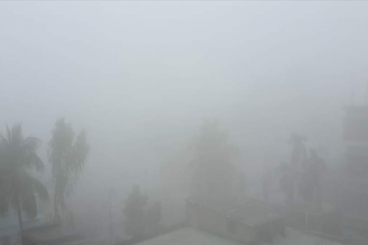 শীতে কাঁপছে চুয়াডাঙ্গা