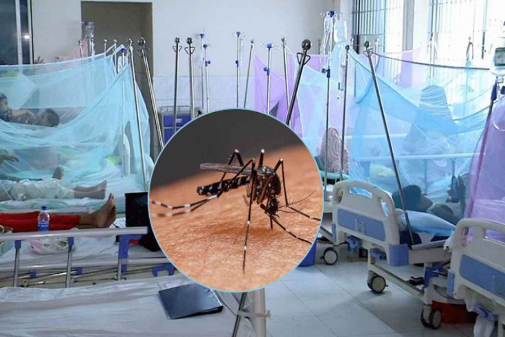 ডেঙ্গুতে মৃত্যুশূন্য দিনে হাসপাতালে আরও ১৪