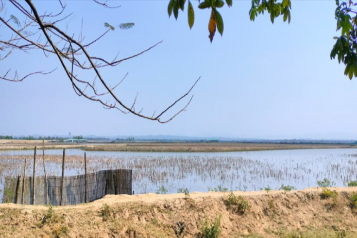 ফের টেকনাফ সীমান্তে গোলাগুলির শব্দ