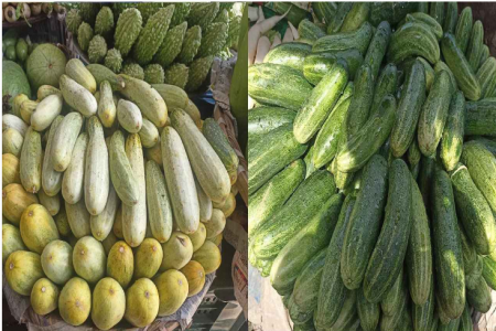 কৃষকের ৪ টাকার শসা ঢাকায় ৪০