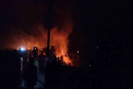 আগুনে পুড়ে ছাই ৮০ বিঘা পানের বরজ