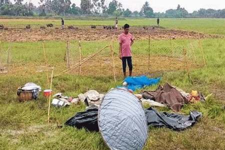 নড়াইলে শূকর চরাতে গিয়ে বজ্রপাতে ৩ জনের মৃত্যু