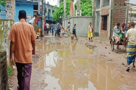 সড়কের বেহাল দশা, চরম ভোগান্তিতে লোহাগড়া পৌরবাসী