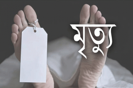 আলমডাঙ্গায় বুড়ি খাতুন নামে এক নারীর রহস্যময় মৃত্যু