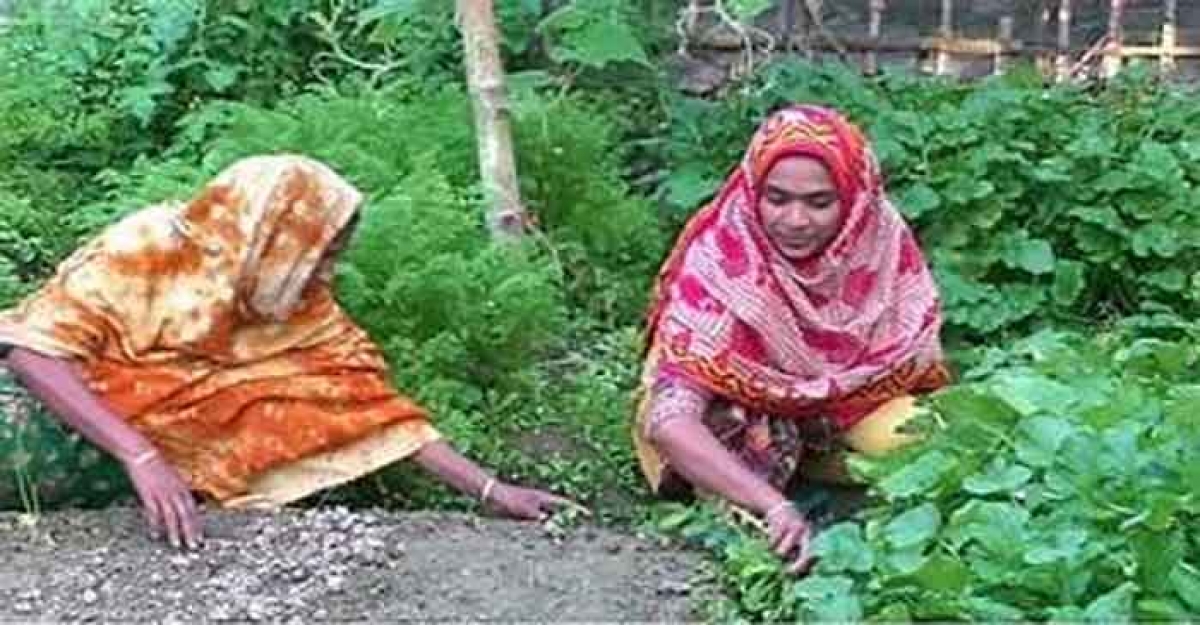 জামালপুরে নার্সারী শিল্প বিকাশে গ্রামীন নারীদের আত্মকর্মসংস্থান