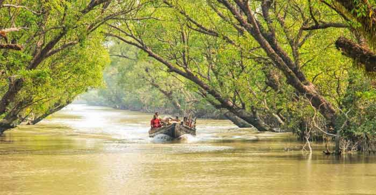 তিন মাস পর সুন্দরবনের প্রবেশদ্বার খুলছে আজ 