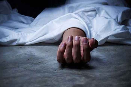 চুয়াডাঙ্গায় সাপের কামড়ে নারীর মৃত্যু