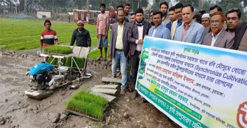 জীবননগরে রাইস ট্রানসপ্লান্টের মাধ্যমে বোরো ধানের চারা রোপনের উদ্বোধন করলেন ডিসি