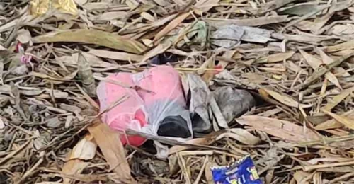দর্শনায় উদ্ধারকৃত ৬টি বোমা নিস্ক্রিয়