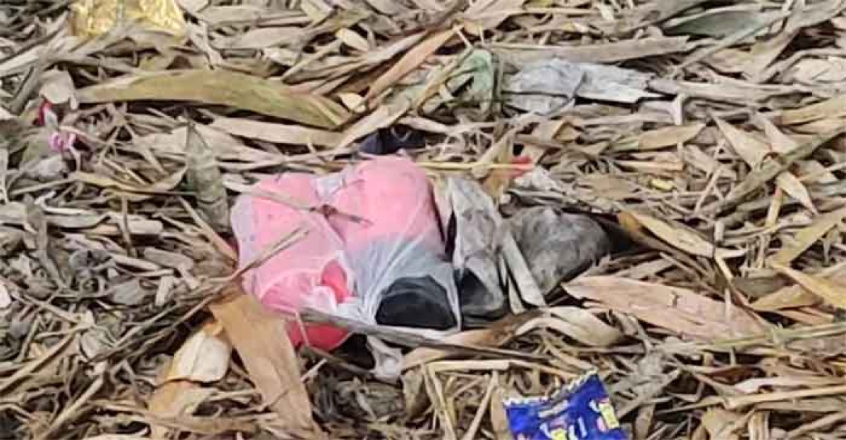 দর্শনায় উদ্ধারকৃত ৬টি বোমা নিস্ক্রিয়