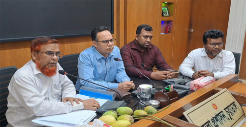 চুয়াডাঙ্গার আম বাজারে আসবে ১৫ মে 