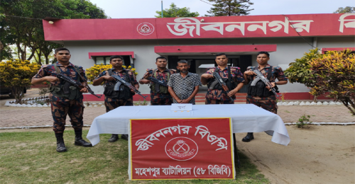 জীবননগরে বিজিবির অভিযানে ৩টি স্বর্ণের বার উদ্ধার, আটক ১