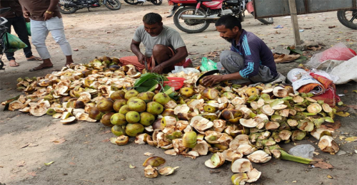 জীবননগরে তালের শাঁসের কদর বেড়েছে