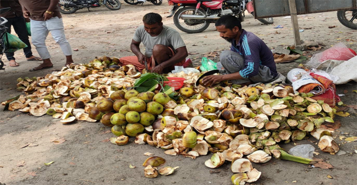 জীবননগরে তালের শাঁসের কদর বেড়েছে