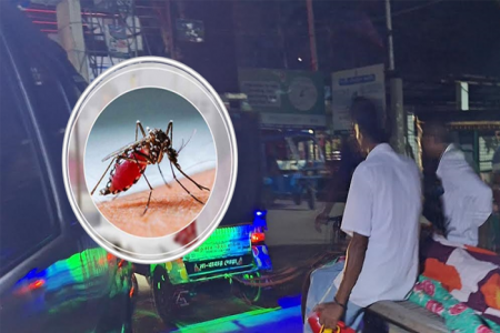 বরগুনায় ডেঙ্গুতে ২ মৃত্যু, হাসপাতালে ১৭২