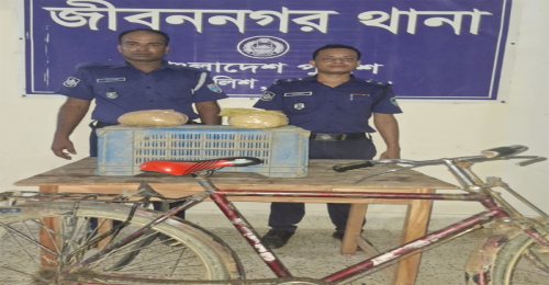  জীবননগর থানা পুলিশের অভিযানে ২ কেজি গাঁজা উদ্ধার 