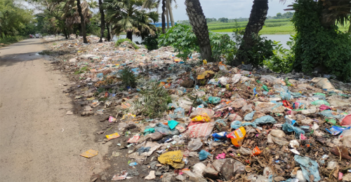 জীবননগরে দুই কিলোমিটারজুড়ে ময়লার স্তূপ, দুর্ভোগে পথচারী ও শিক্ষার্থীরা