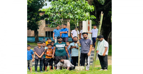 জুলাই গণঅভ্যুত্থানের বর্ষপূর্তি উপলক্ষ্যে জীবননগরে ছাত্রদলের বৃক্ষরোপণ