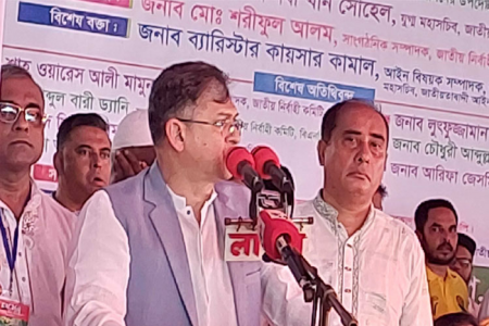 আল্লাহ ছাড়া কেউ এই নির্বাচন ঠেকাতে পারবে না: সালাহউদ্দিন