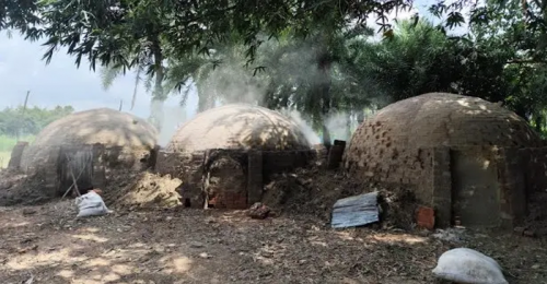 জীবননগরে পরিবেশ অধিদপ্তরের অনুমোদন ছাড়াই গাছ পুড়িয়ে তৈরি হচ্ছে কয়লা