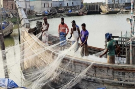 ইলিশ ধরার নিষেধাজ্ঞা শেষ হচ্ছে আজ