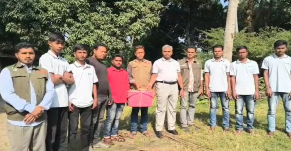 র‍্যাবের হাতে আটক ৩টি তক্ষক চুয়াডাঙ্গায় বনায়ন কেন্দ্রে অবমুক্ত