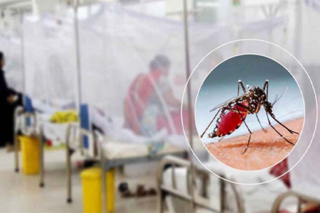 ডেঙ্গুতে একদিনে ৮ মৃত্যু, হাসপাতালে ৭৭৮