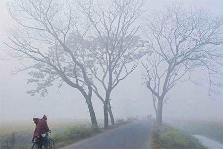তেঁতুলিয়ায় তাপমাত্রা নামল ১২ ডিগ্রিতে