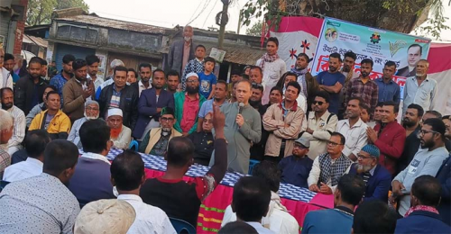 ভোটের অধিকার ফিরিয়ে দিতে বিএনপি ১৭ বছর লড়াই করেছে : মাহমুদ হাসান 