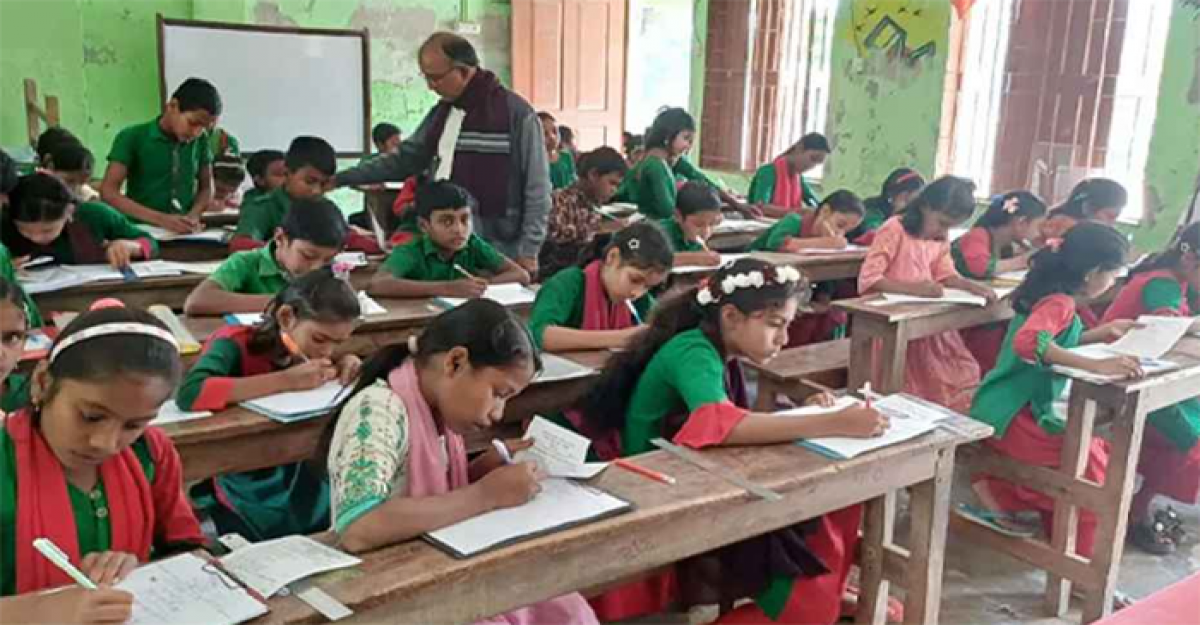  গণবদলি ও শোকজের মুখে পরীক্ষায় ফিরলেন প্রাথমিক শিক্ষকরা  