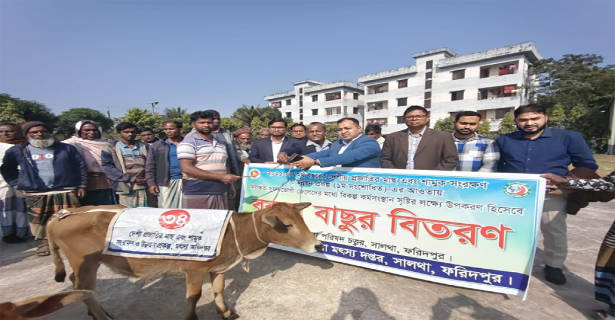 সালথায় জেলেদের মাঝে বকনা বাছুর বিতরণ