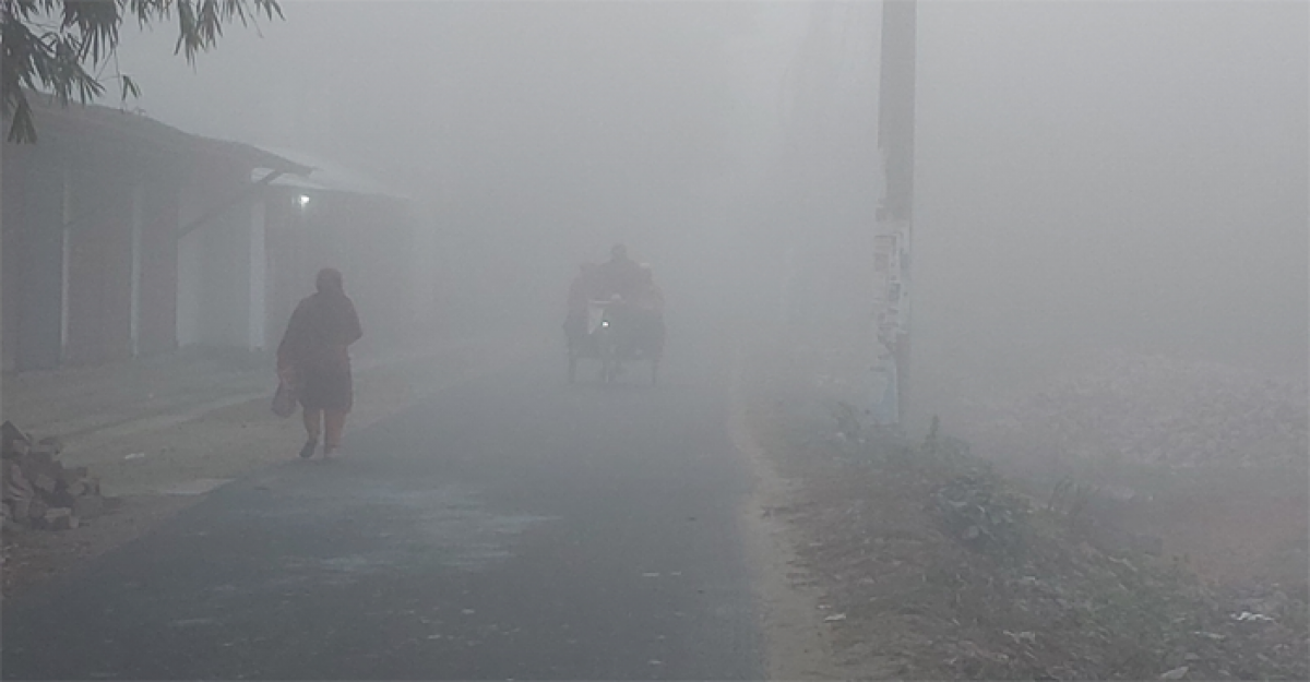 শীতে কাঁপছে চুয়াডাঙ্গা, তাপমাত্রা নামল ৮ ডিগ্রিতে