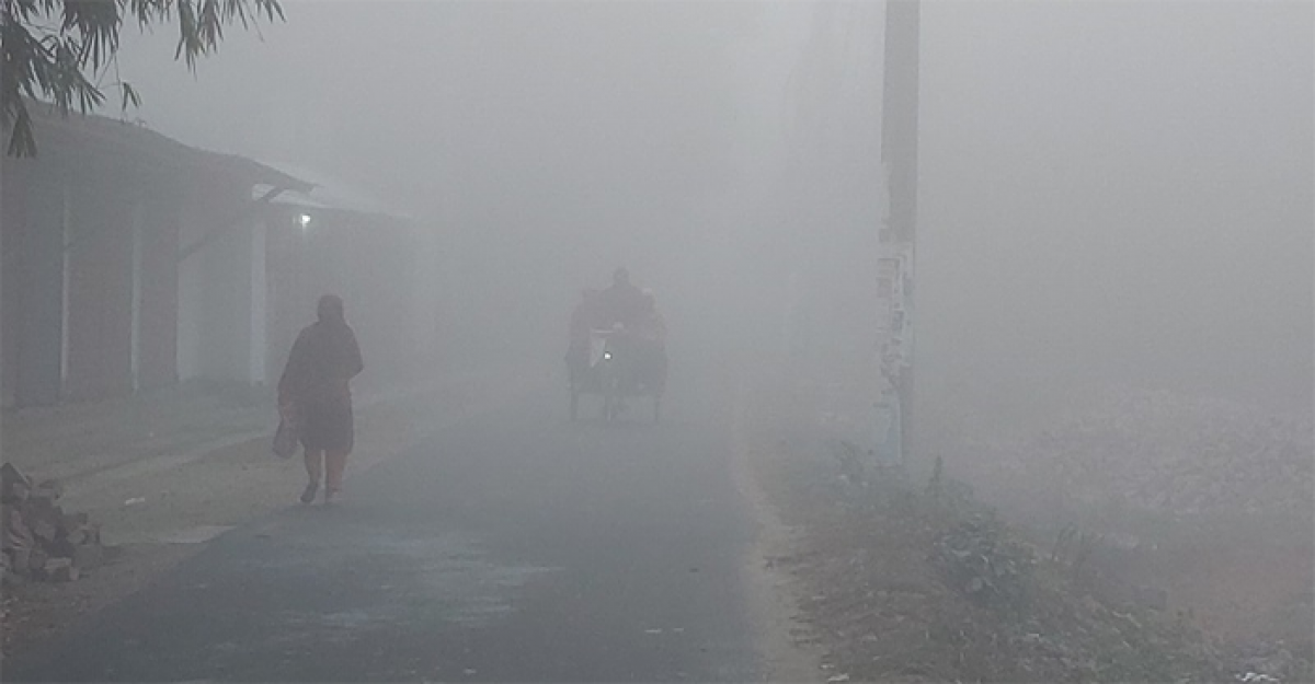 হাড় কাঁপানো শীতে কাঁপছে চুয়াডাঙ্গা, তাপমাত্রা ৭.৫ ডিগ্রি