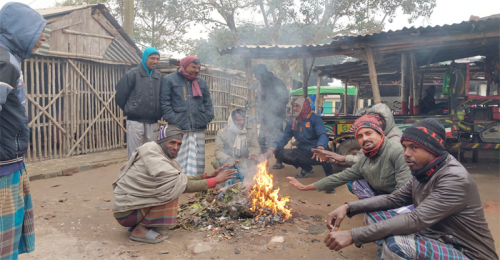 হাড়কাঁপানো শীতে কাঁপছে চুয়াডাঙ্গা, তাপমাত্রা নামল ৬.৯ ডিগ্রিতে