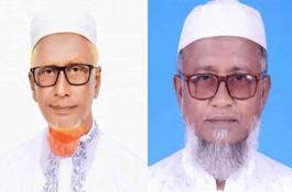 বড় ভাইকে হারালেন জামায়াত সমর্থিত ছোট ভাই 