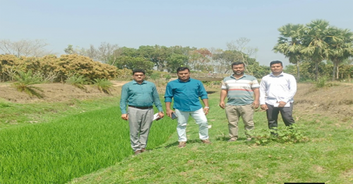 জীবননগরে খাল খনন ও পুনঃখনন কার্যক্রম চালু করতে পরিদর্শনে ইউএনও