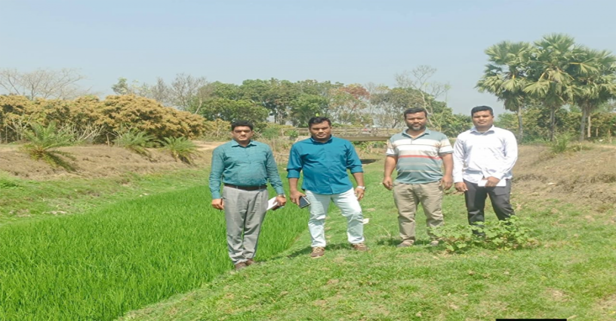 জীবননগরে খাল খনন ও পুনঃখনন কার্যক্রম চালু করতে পরিদর্শনে ইউএনও