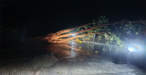 চুয়াডাঙ্গায় কালবৈশাখীর আঘাত, তিনতলা থেকে পড়ে বৃদ্ধের মৃত্যু