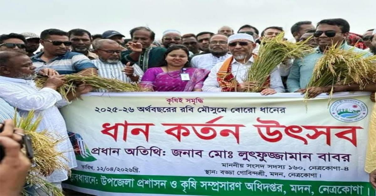 মদন হাওরে ধান কর্তন উৎসব উদ্বোধন করলেন লুৎফুজ্জামান বাবর 