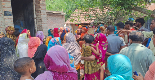 চুয়াডাঙ্গায় মৌমাছির কামড়ে ভ্যানচালকের মৃত্যু