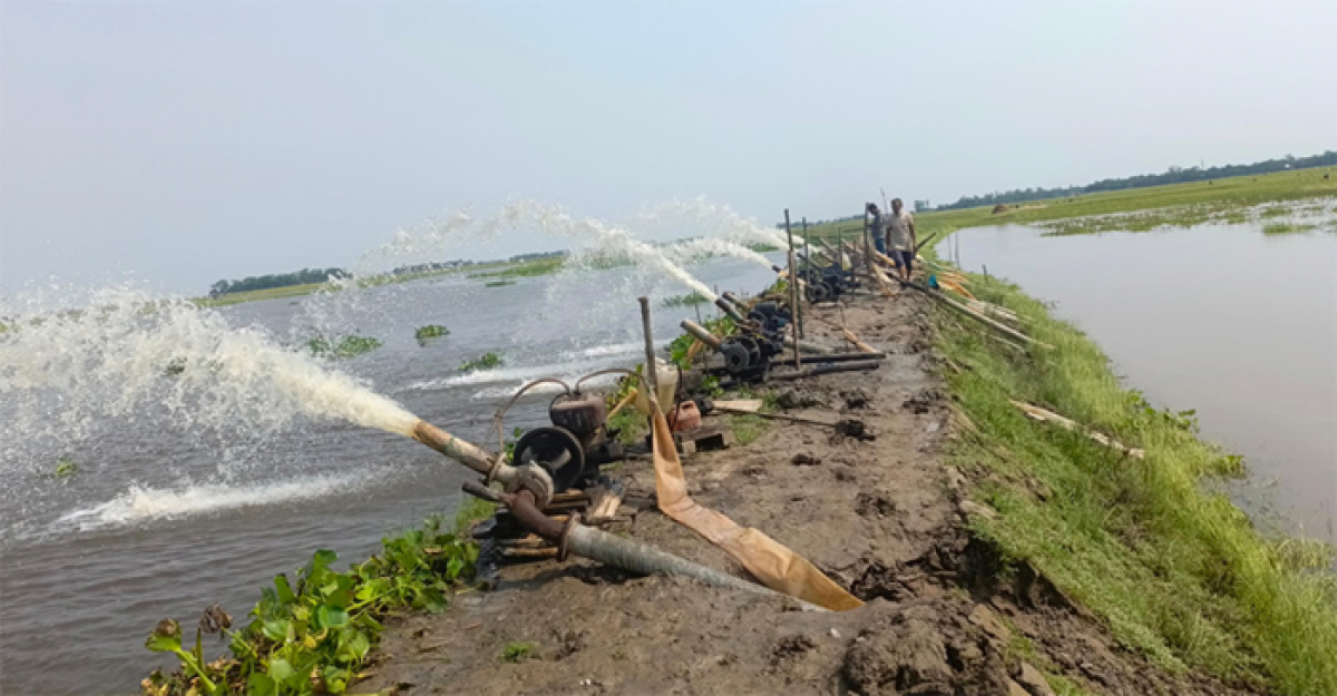 মদনে হাওরবাসীর স্বপ্ন তলিয়ে যাচ্ছে পানিতে 