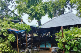 জামালপুরে গাছচাপায় মা ও দুই মেয়ের মৃত্যু