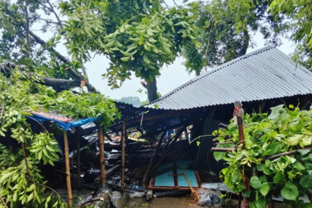 জামালপুরে গাছচাপায় মা ও দুই মেয়ের মৃত্যু