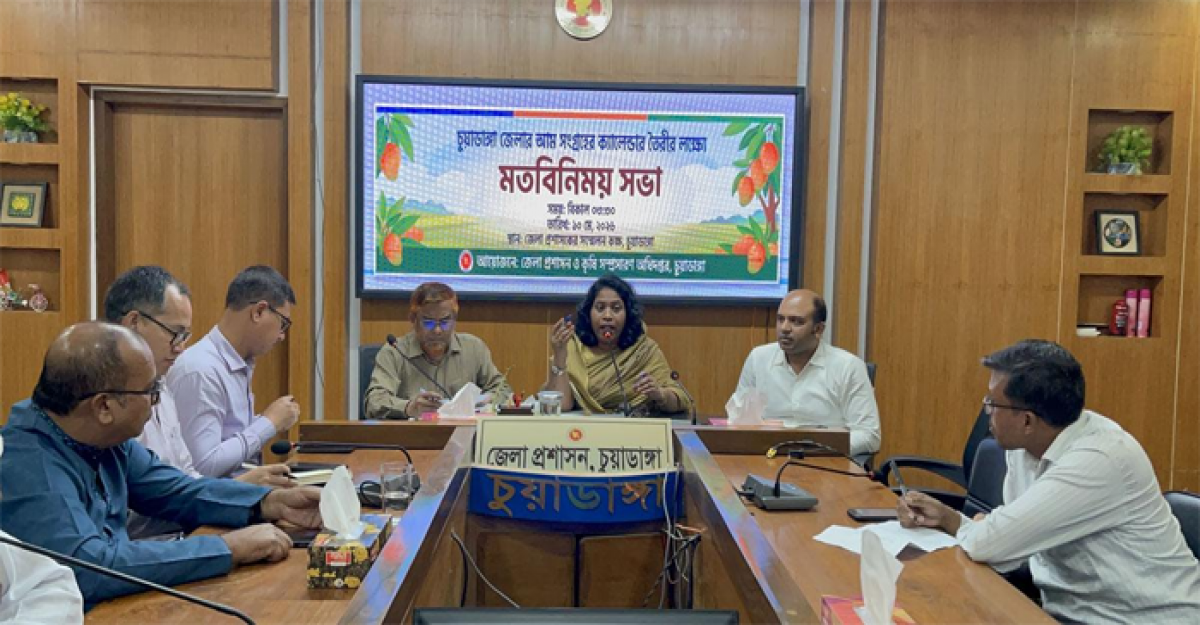 চুয়াডাঙ্গায় বুধবার থেকে আম সংগ্রহ শুরু