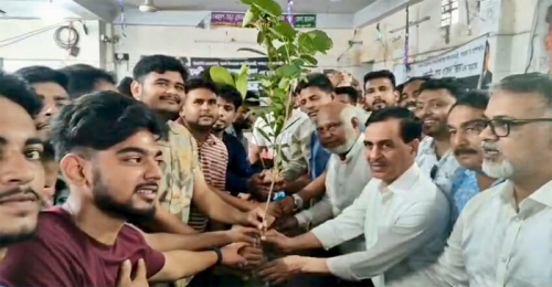 নওগাঁয় জেলা ছাত্রদলের বৃক্ষরোপণ কর্মসূচি ও চারা বিতরণ