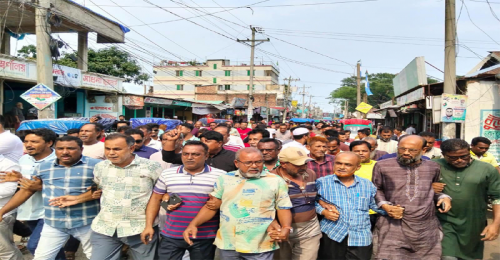 মদনে বিএনপি'র বিক্ষোভ মিছিল 