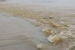 মৌলভীবাজারে বন্যার পানি থেকে ভাসমান লাশ উদ্ধার
