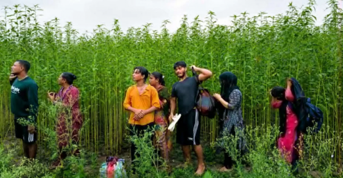 কুষ্টিয়া সীমান্তে বিএসএফের পুশইনের চেষ্টা ব্যর্থ, প্রতিহত করল বিজিবি
